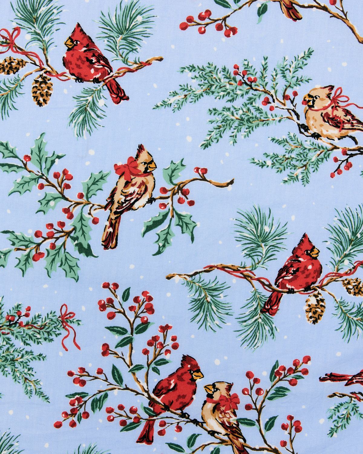 Frosted Blue Winter Cardinals print with red and tan birds among evergreen branches, berries, and holly