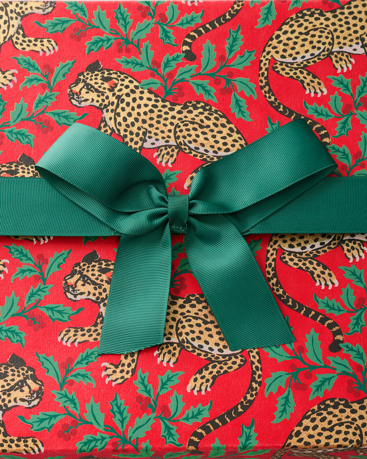 Red Winter Holly Bagheera gift box with a green ribbon and leopard-and-holly print
