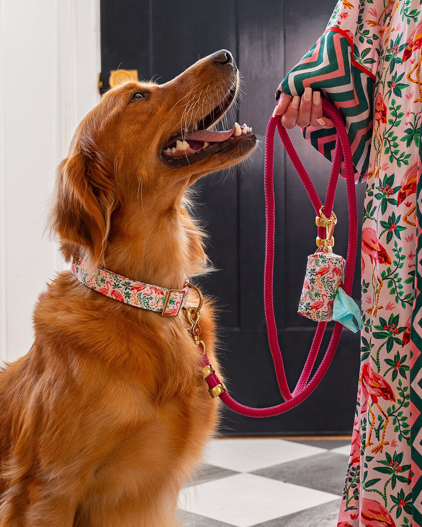 PF x The Foggy Dog - Marine Rope Dog Leash - Hot Pink - Printfresh