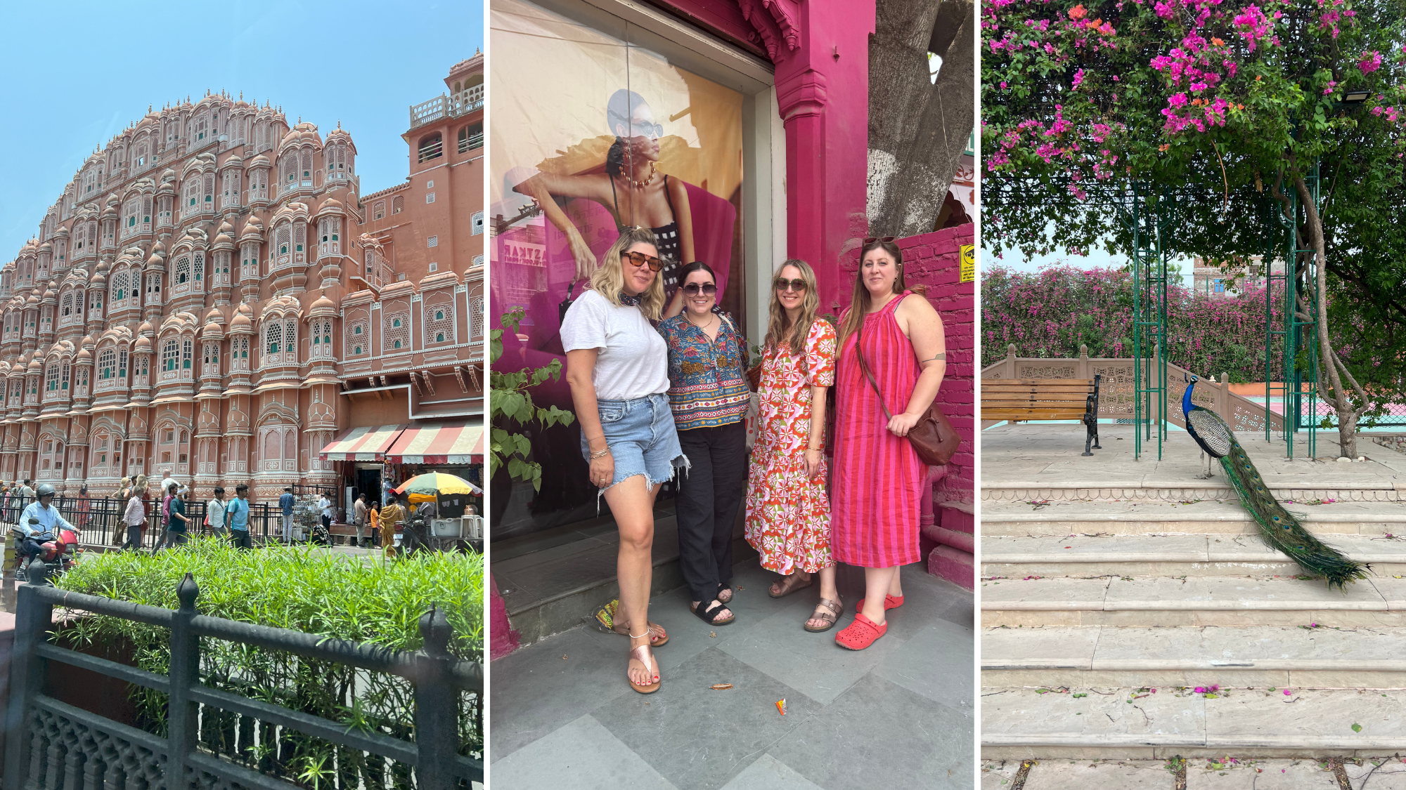 Spring in India | A Snapshot of Two Cities