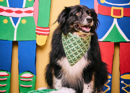 Gifts For The Pet Parents