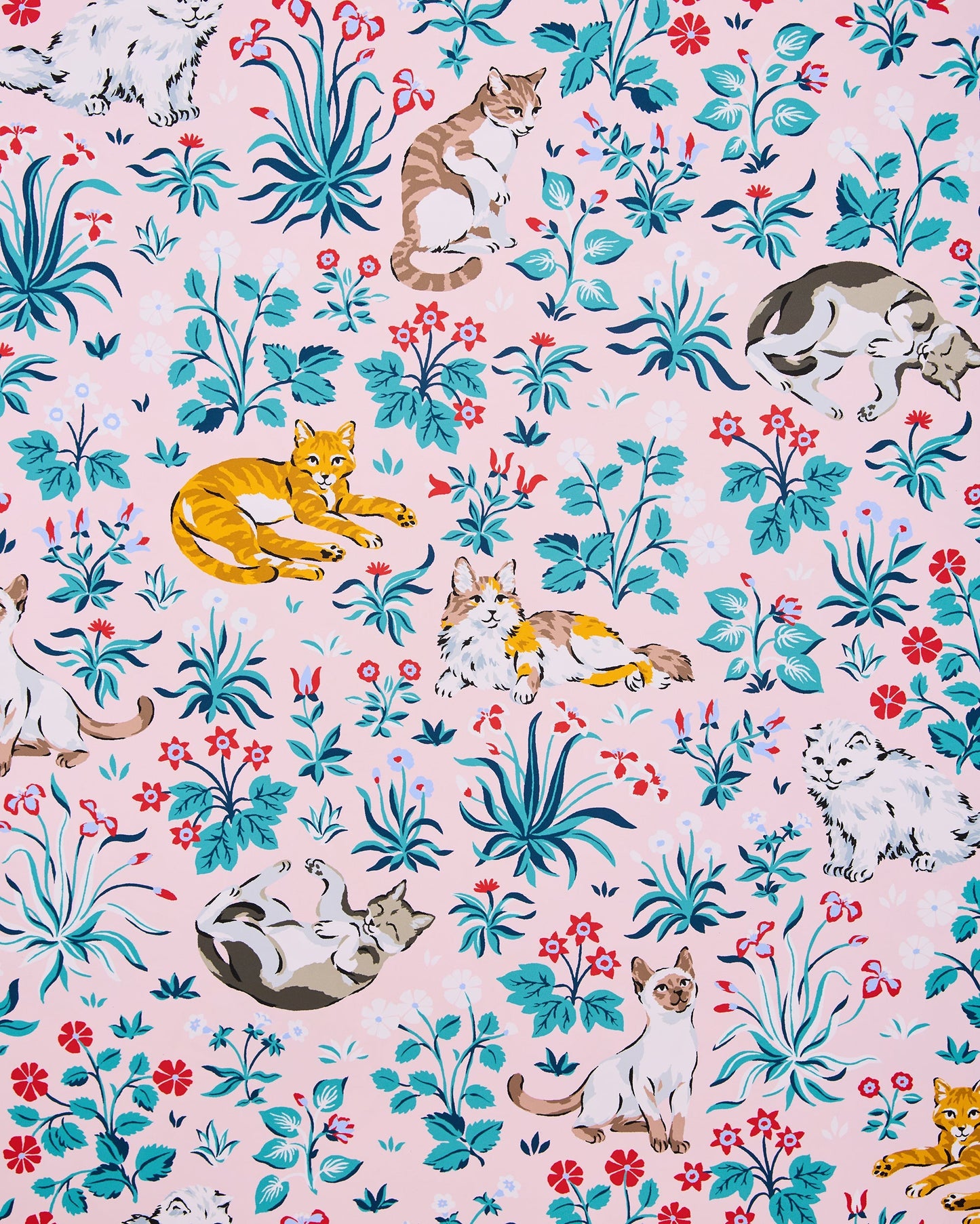Must Love Cats - Peel & Stick Wallpaper - Pink