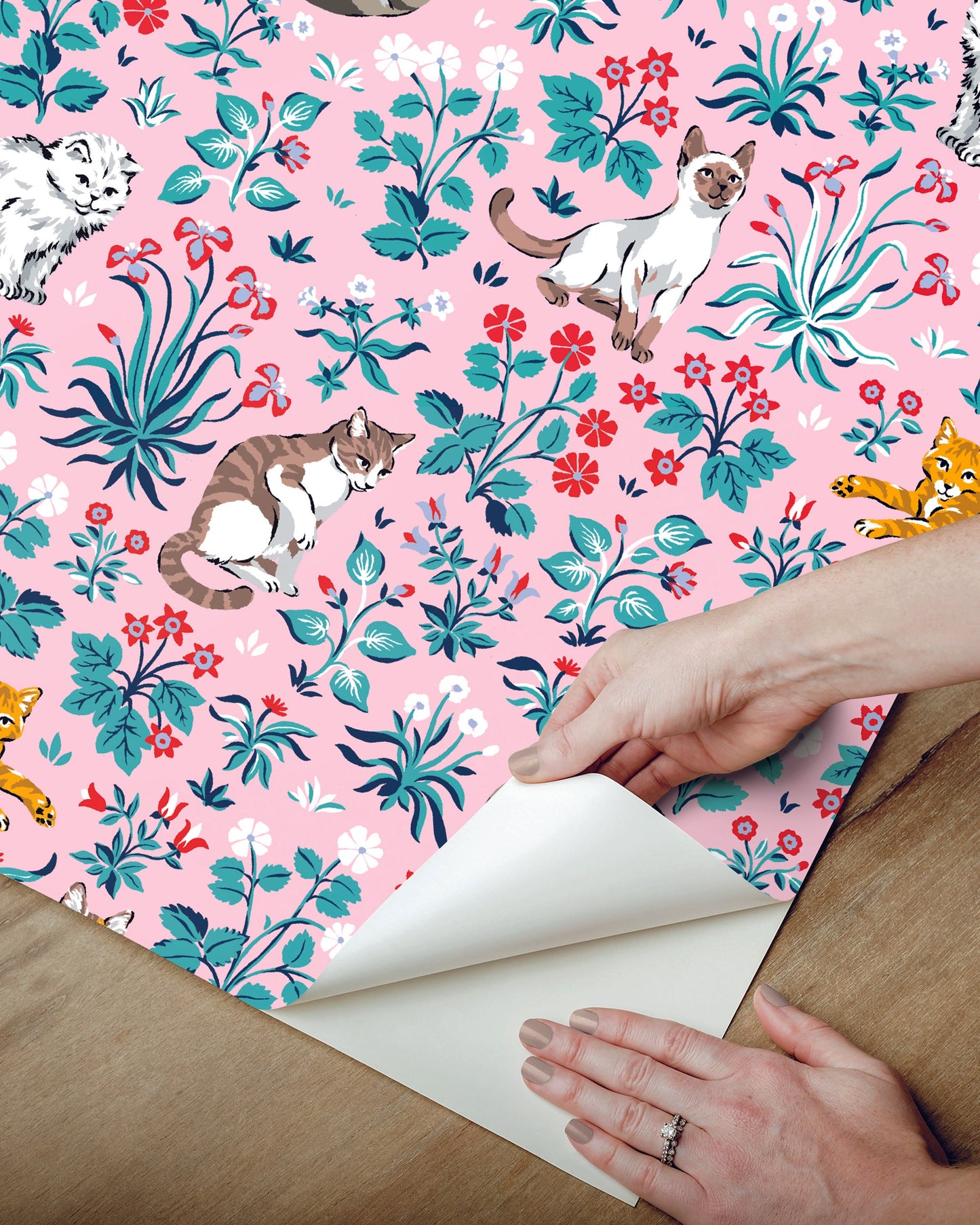 Must Love Cats - Peel & Stick Wallpaper - Pink