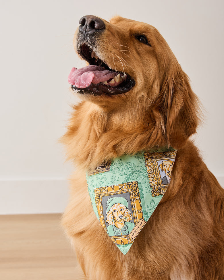 PF + Downton Abbey: The Grande Finale | Dogton Abbey - Pet Bandana - Green - Printfresh