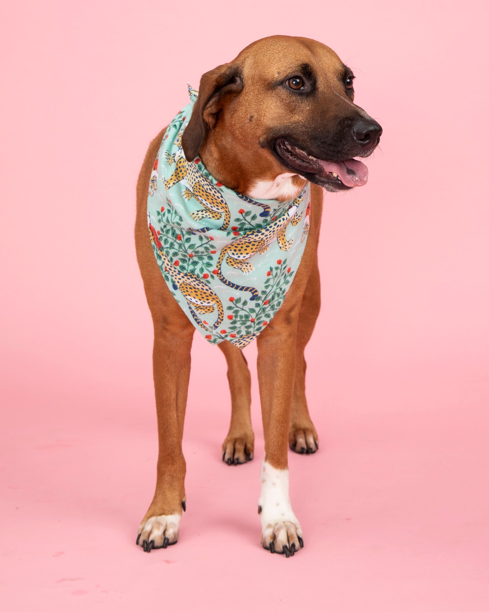 New Jersey Devils Dog Bandana - Dress Up Your Pup