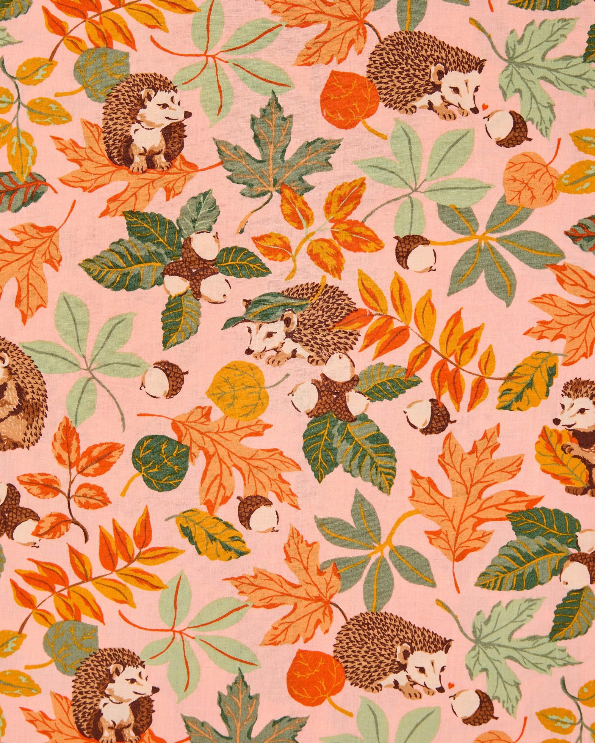 Hedgehog Forest - Tall Long PJ Set - Peach Leaf – Printfresh
