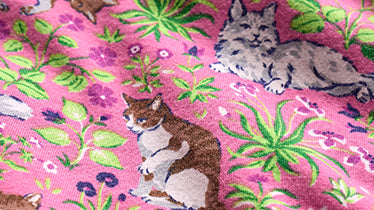 Organic Pima Modal Knit 