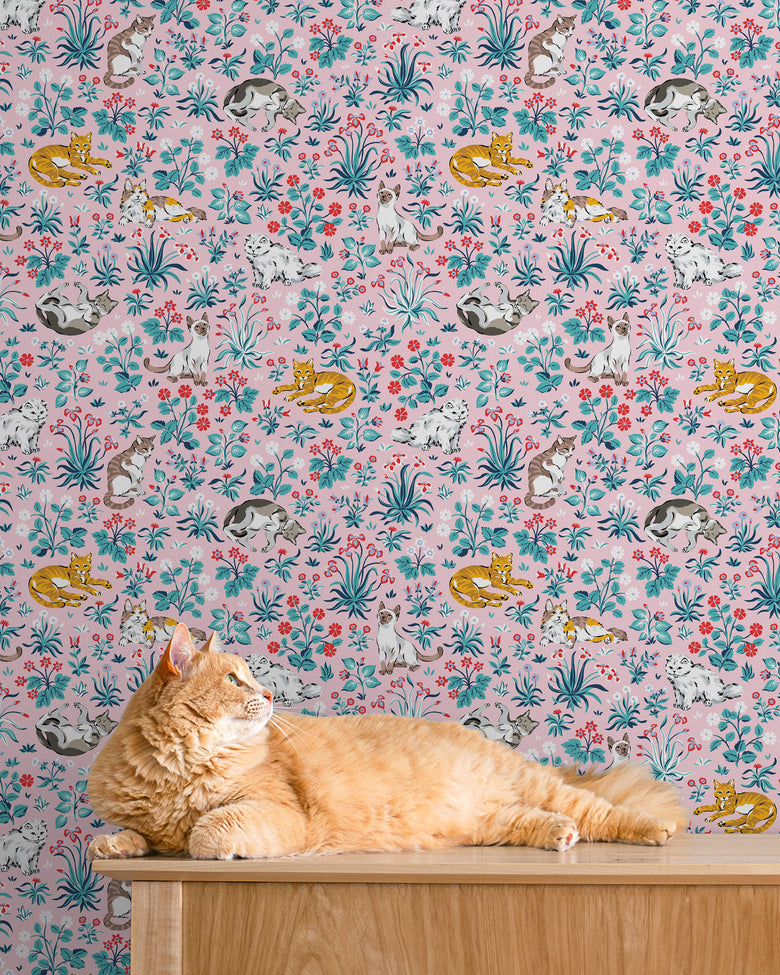 Must Love Cats - Peel & Stick Wallpaper - Pink - Printfresh