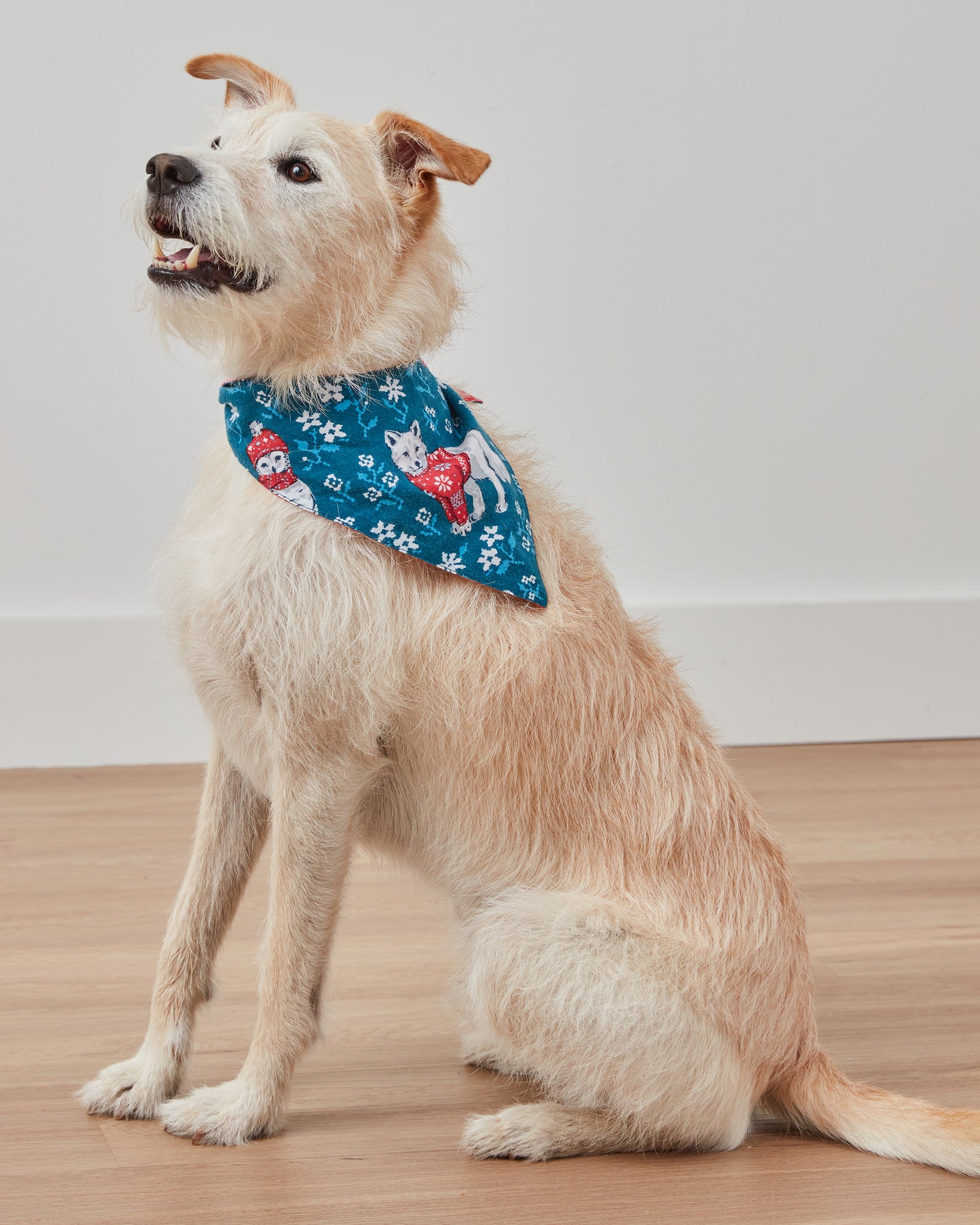 Bundled Up - Flannel Pet Bandana - Navy - Printfresh