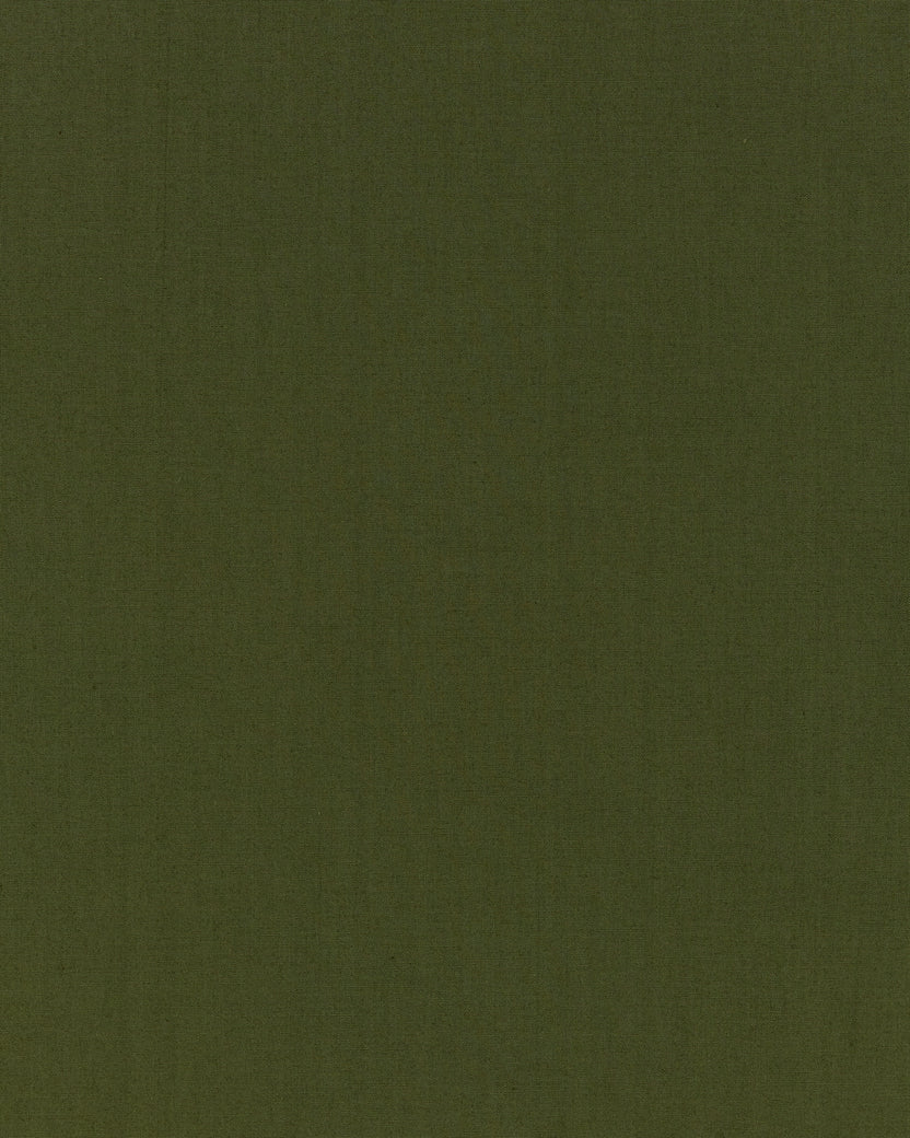 Solid - Canyon Pant - Olive