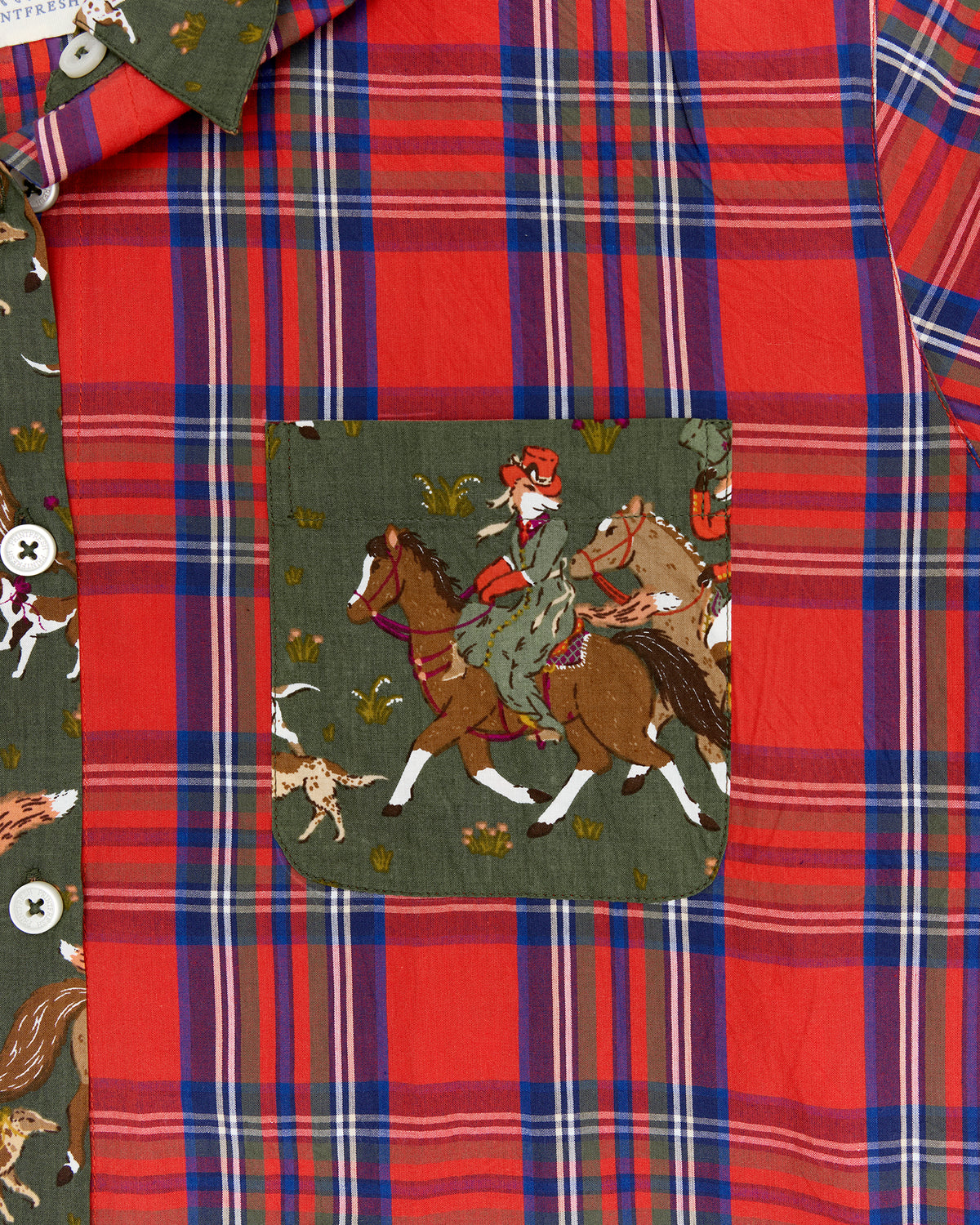 Fox Hunting - Everyday Buttondown Shirt - Pine Grove