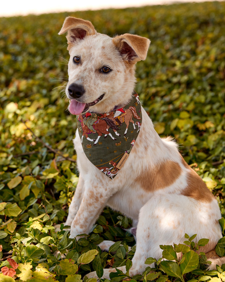 Fox & Hounds - Pet Bandana - Pine Grove