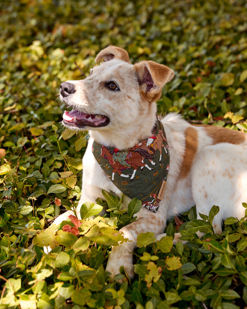 Fox Hunting - Pet Bandana - Pine Grove