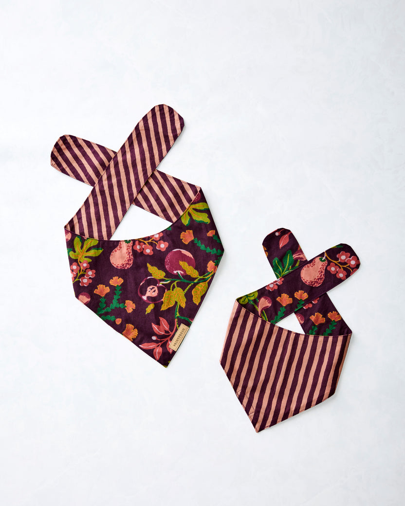 Two Plum Pomme & Poire pet bandanas displayed flat, showing the fruit print and coordinating striped pattern.