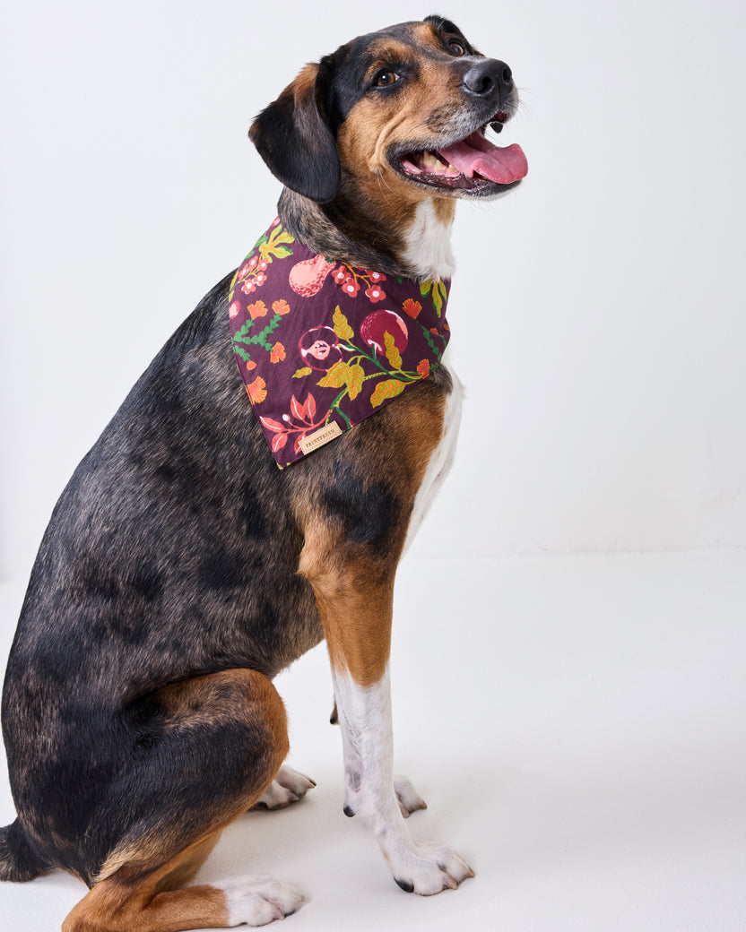 Dog seated wearing a plum floral-print pet bandana