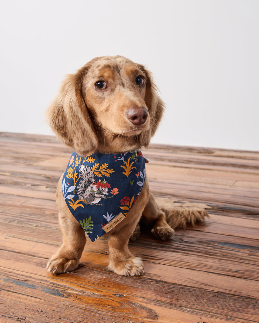 Woodland Critters - Pet Bandana - Indigo