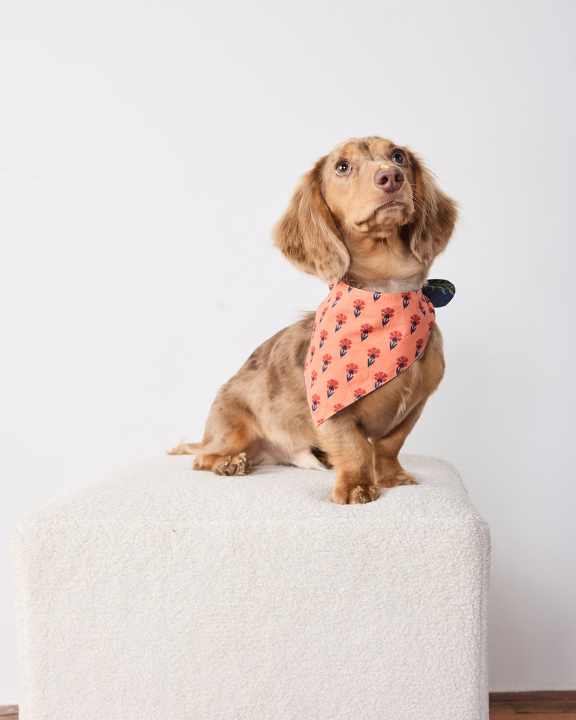 Woodland Critters - Pet Bandana - Indigo