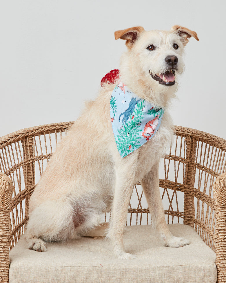 Frisky Firs - Lightweight Flannel Pet Bandana - Twinkling Blue - Printfresh