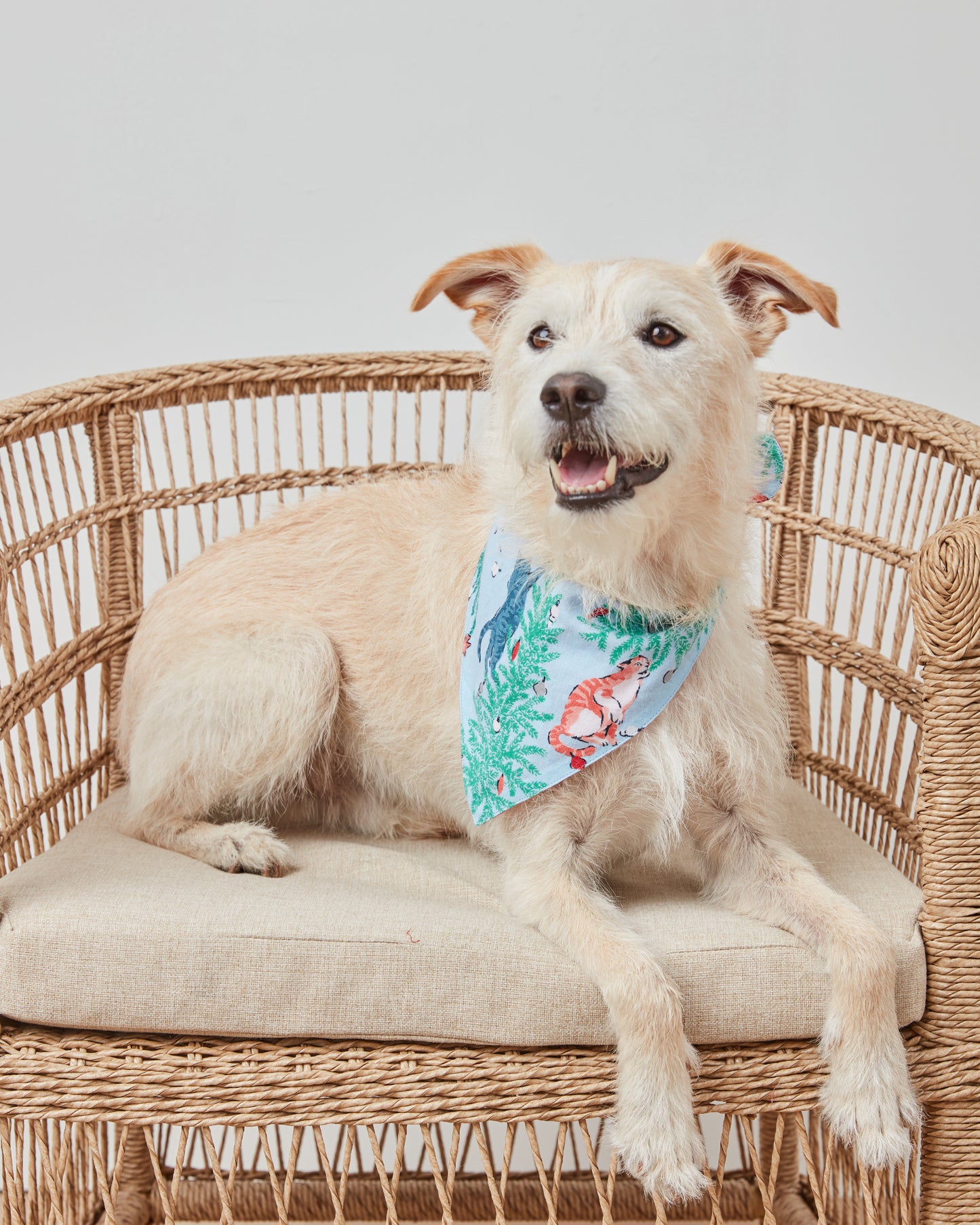 Frisky Firs - Lightweight Flannel Pet Bandana - Twinkling Blue - Printfresh