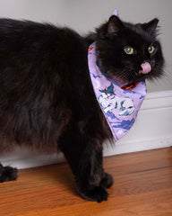 Halloween House Cats - Pet Bandana - Lavender - Printfresh