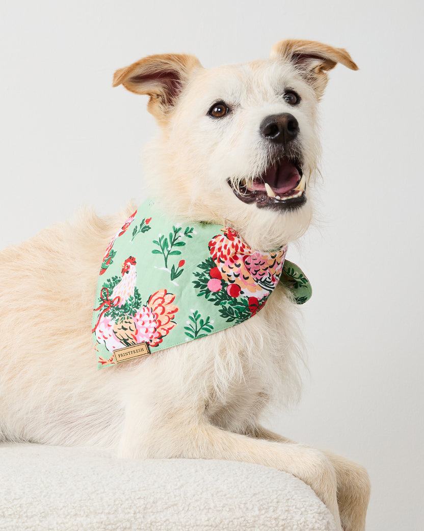 Holiday Hens - Pet Bandana - Sage - Printfresh
