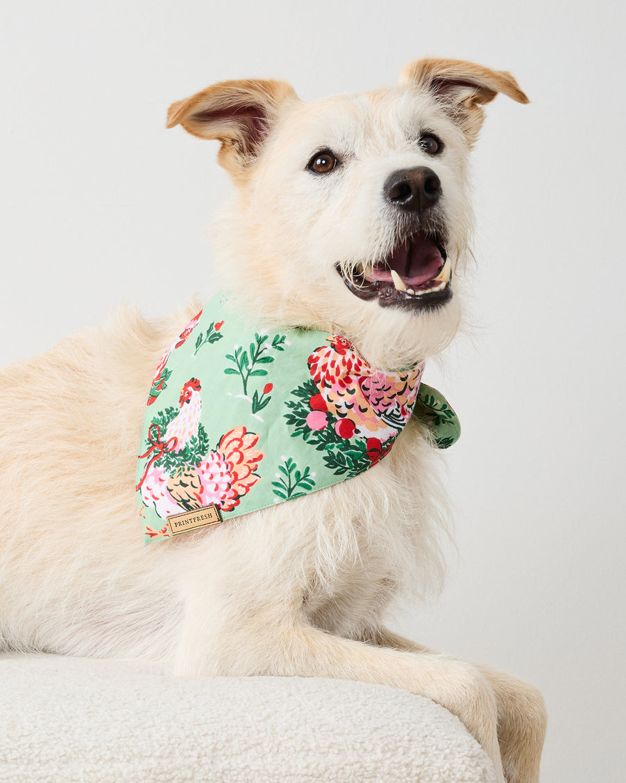 Holiday Hens - Pet Bandana - Sage - Printfresh