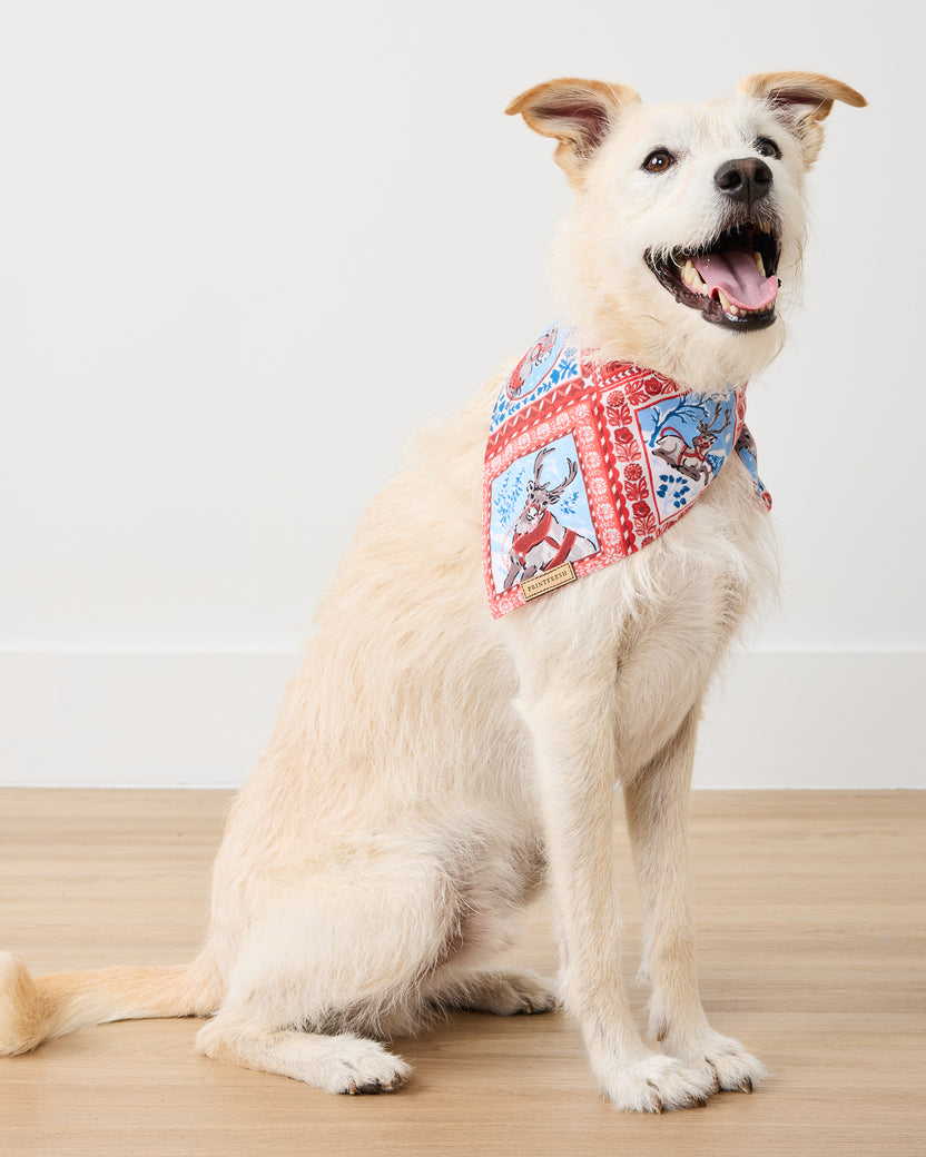 Reindeer Games - Lightweight Flannel Pet Bandana - Red Sleigh - Printfresh