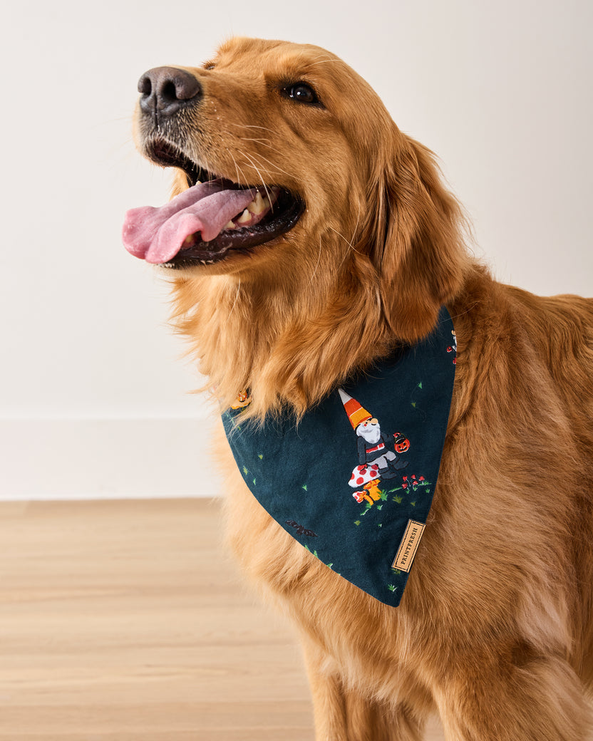 Mischief Night - Pet Bandana - Nightfall Blue - Printfresh