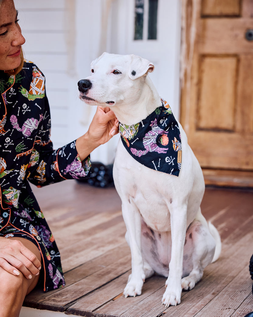 Monster Mash - Pet Bandana - Haunted House - Printfresh