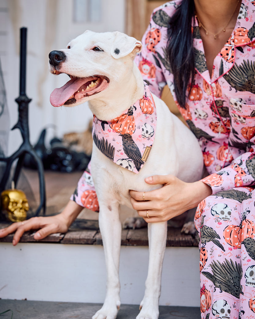 Sleepy Hollow - Pet Bandana - Nevermore Pink - Printfresh