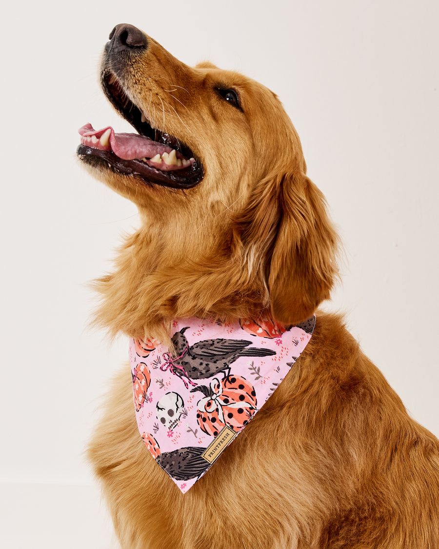 Sleepy Hollow - Pet Bandana - Nevermore Pink - Printfresh