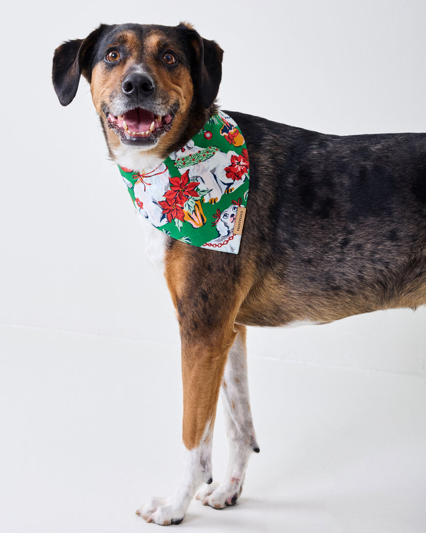 Dog wearing the green Good Dog Christmas pet bandana with a printed holiday pattern.