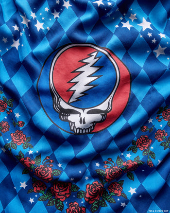 Close-up of the blue argyle print with white stars, red roses, and a large skull-and-lightning graphic.
