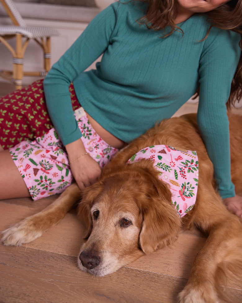 Golden retriever lying on a wood floor while wearing a pink patterned pet bandana.
