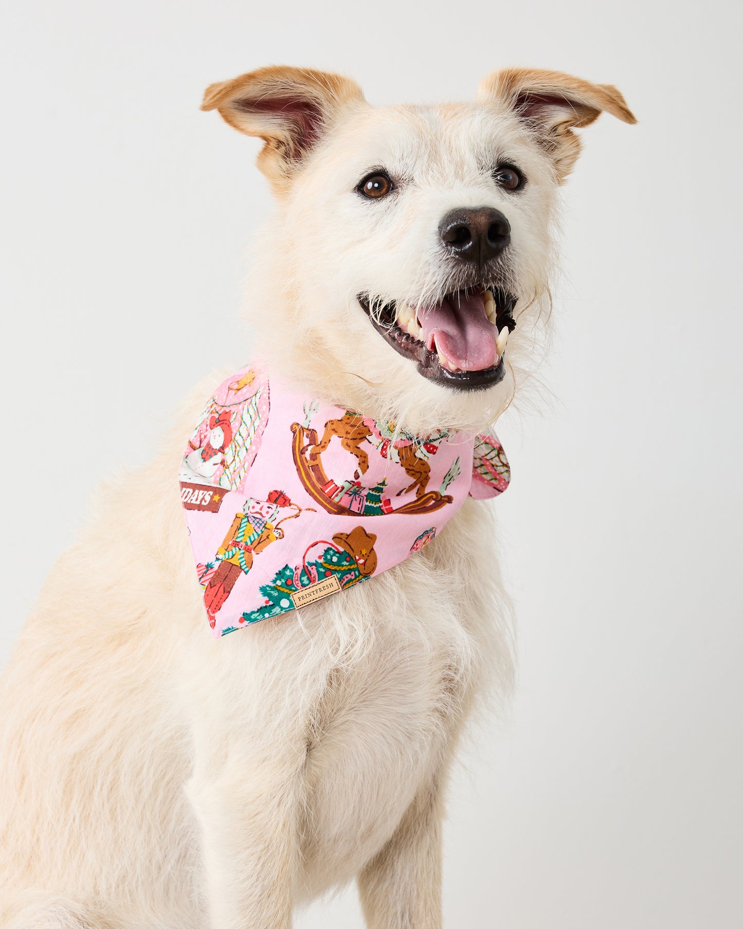 Cowboy Christmas - Pet Bandana - Pink Boots - Printfresh