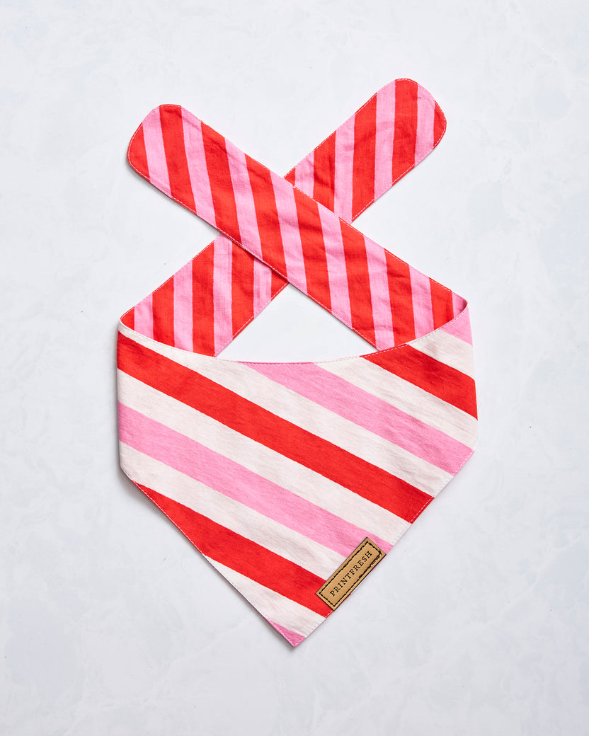 Gift Wrapping - Pet Bandana - Peppermint Swirl - Printfresh