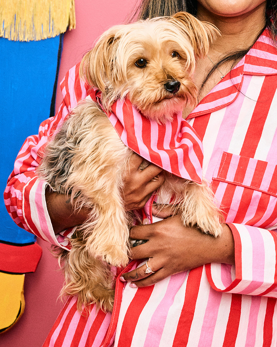 Gift Wrapping - Pet Bandana - Peppermint Swirl - Printfresh