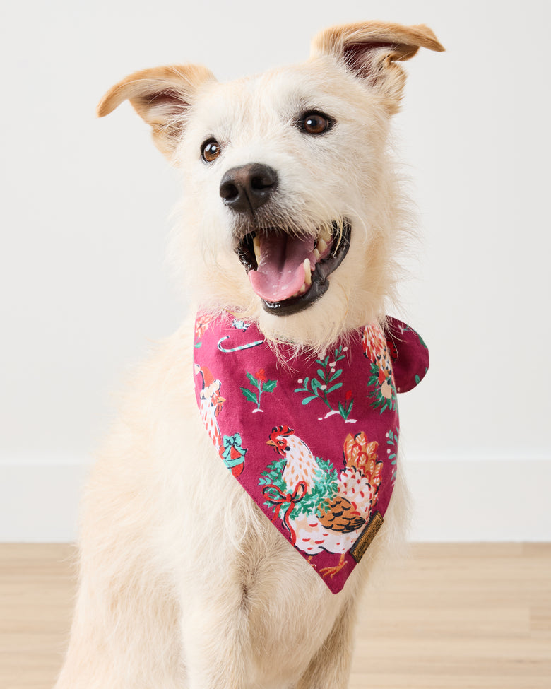 Holiday Hens - Lightweight Flannel Pet Bandana - Burgundy - Printfresh