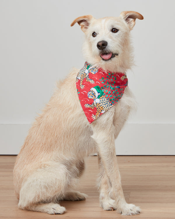 Holly Jolly Bagheera - Flannel Pet Bandana - Ruby - Printfresh