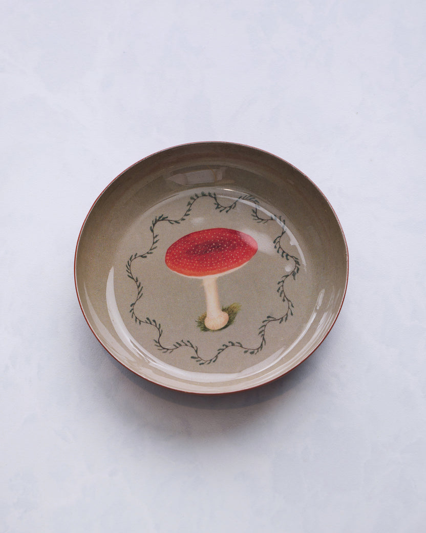 Mushroom - Round Enamel Dish - Roomytown Inc - Printfresh