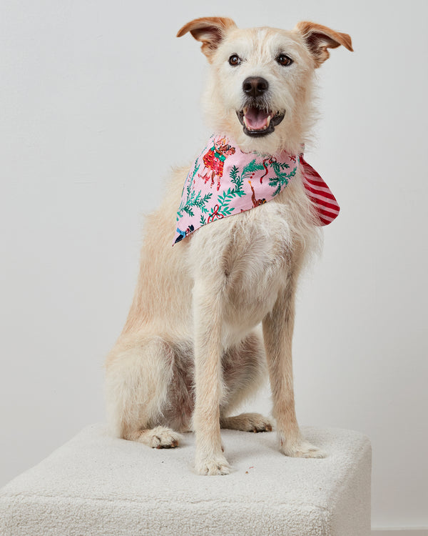 Nutcracker Dreams - Pet Bandana - Ballet Pink - Printfresh