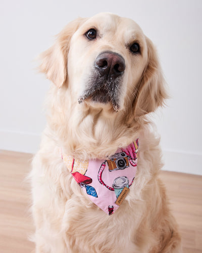 Emotional Baggage - Pet Bandana - Happy Place Pink
