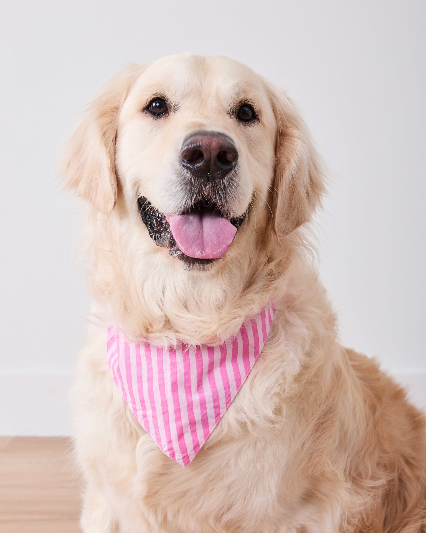 Emotional Baggage - Pet Bandana - Happy Place Pink