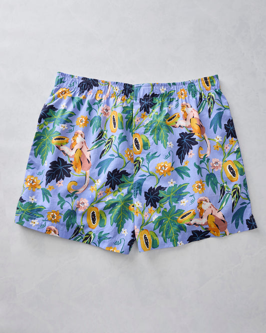 Papaya Paradise - Men's Boxer - Periwinkle