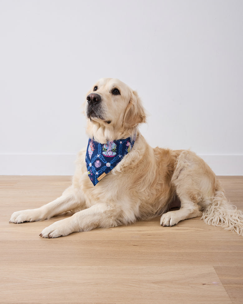 Underwater Enchantment - Pet Bandana - Navy - Printfresh