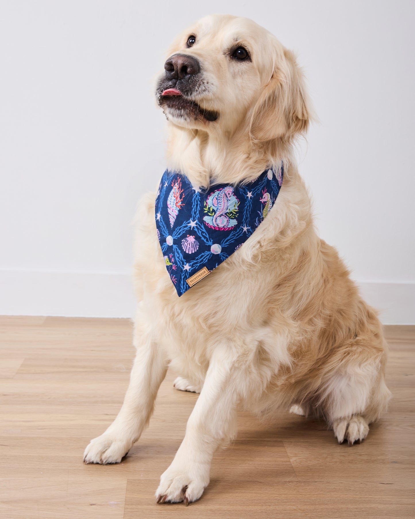 Underwater Enchantment - Pet Bandana - Navy - Printfresh