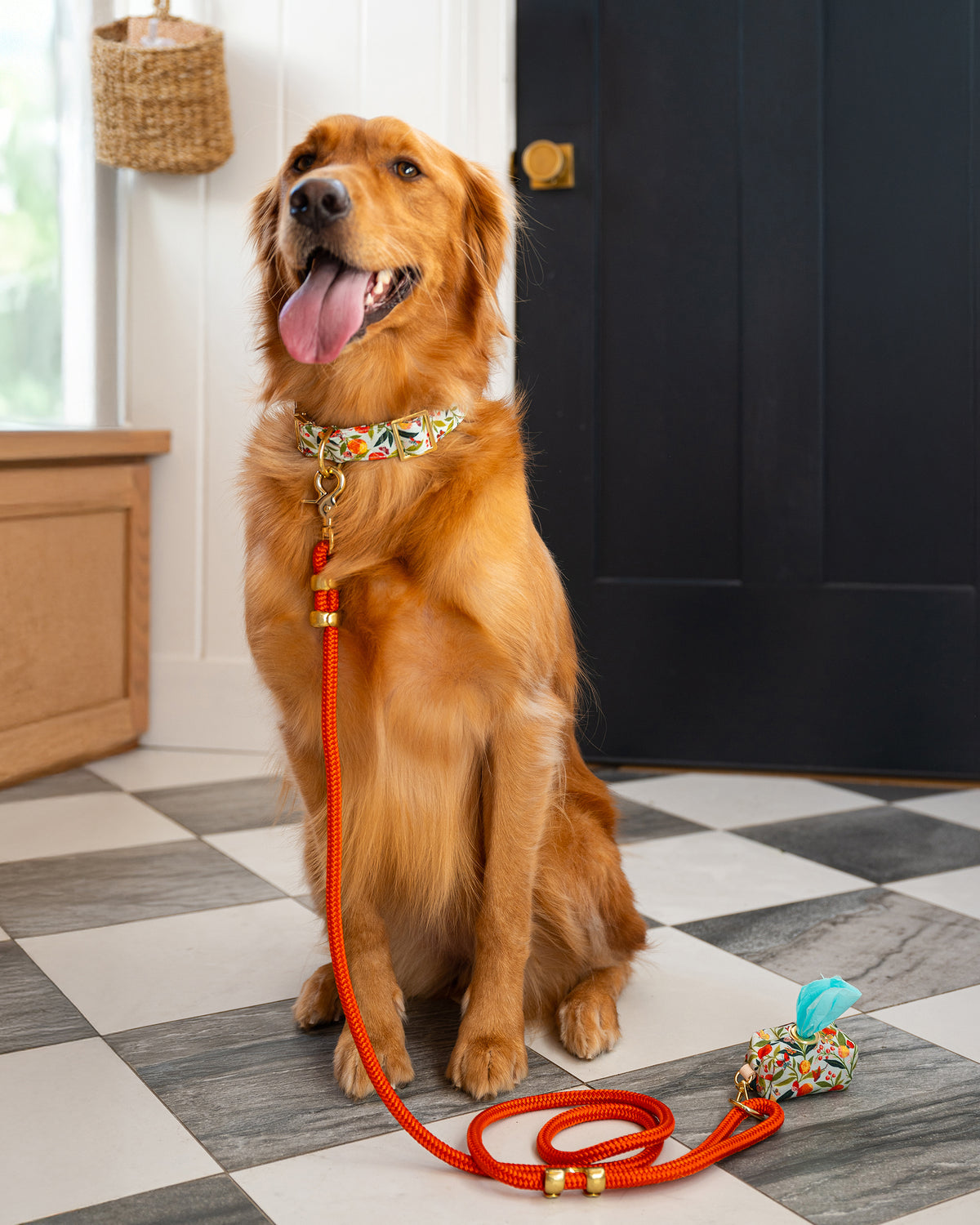 PF x The Foggy Dog Butterfly Grove - Dog Collar - Soft Blue - Printfresh
