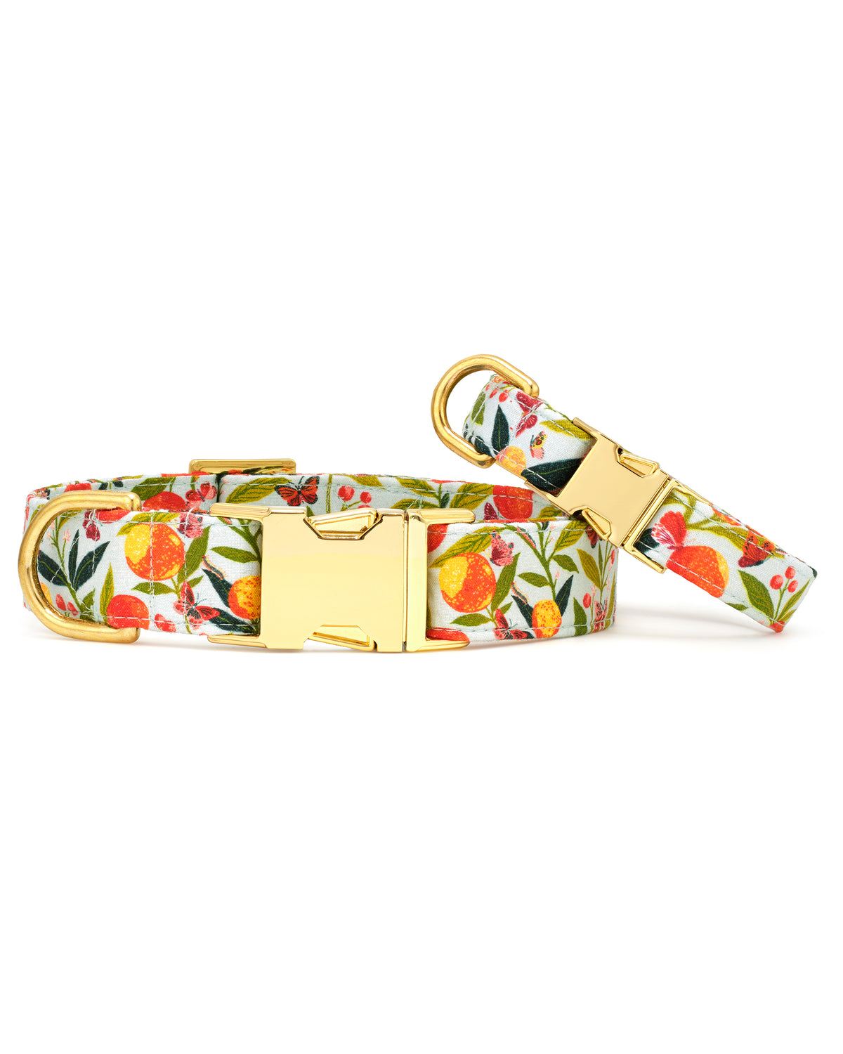 PF x The Foggy Dog Butterfly Grove - Dog Collar - Soft Blue - Printfresh