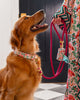 PF x The Foggy Dog Flock of Flamingos - Dog Collar - Rose - Printfresh