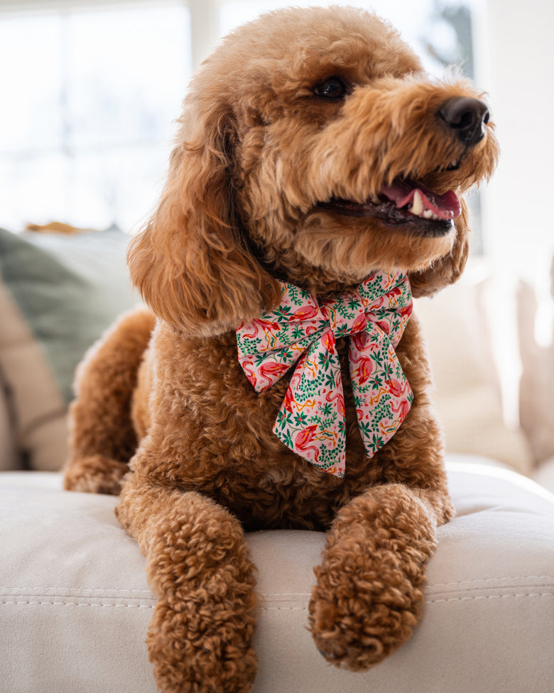 PF x The Foggy Dog Flock of Flamingos - Lady Dog Bow - Rose - Printfresh